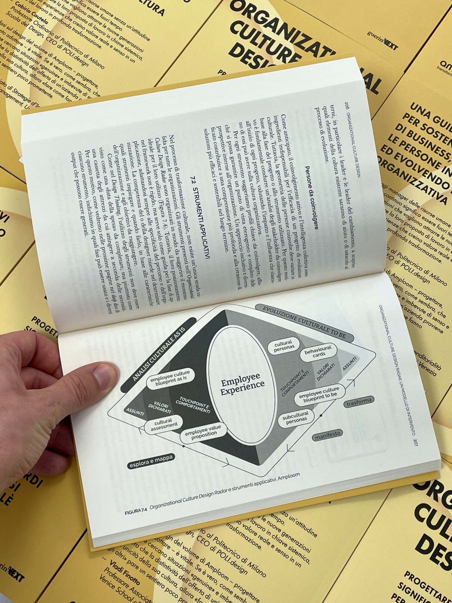 Organizational Culture Design Amploom