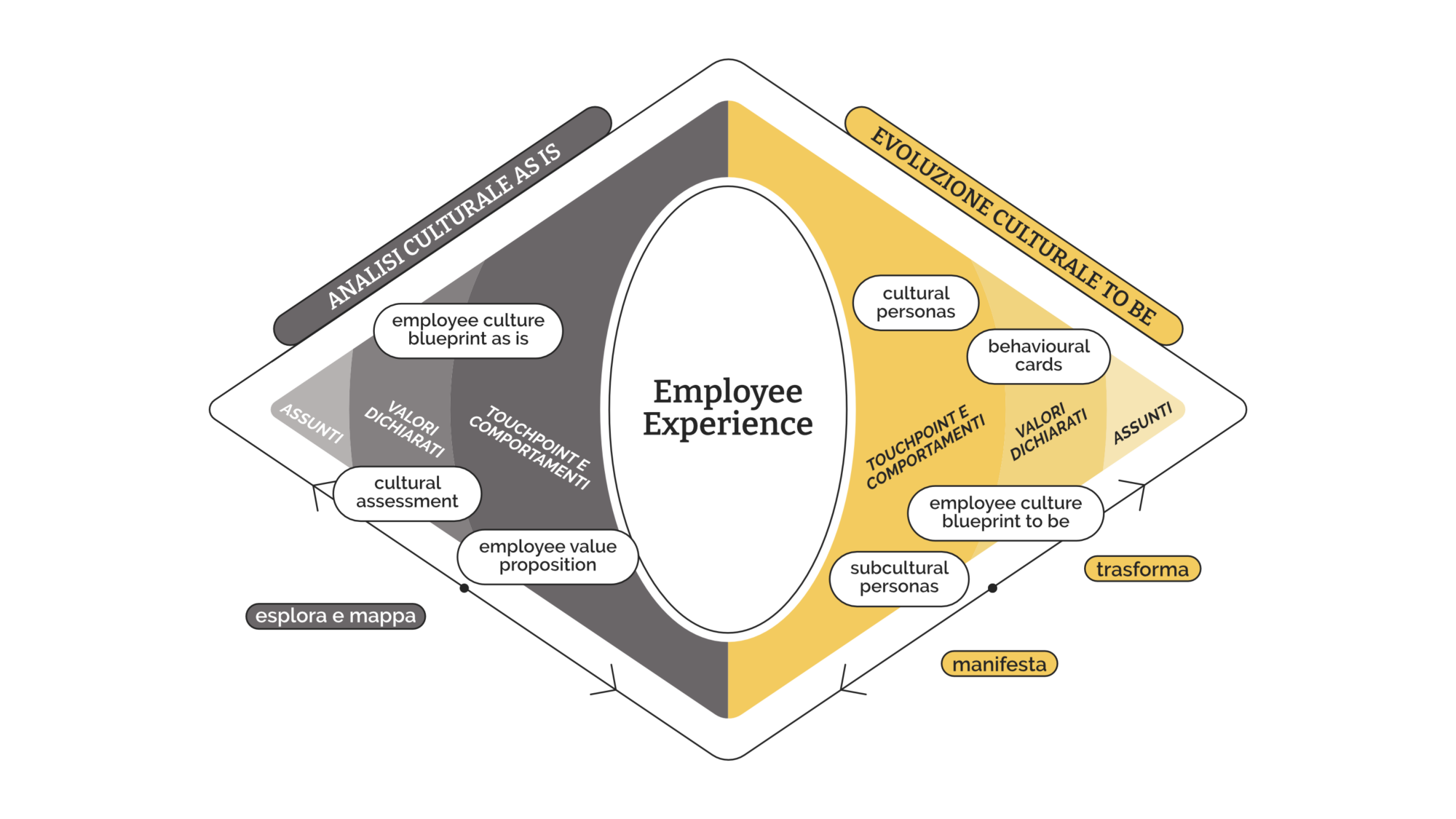 Organizational Culture Design Radar framework Amploom per il design della cultura organizzativa